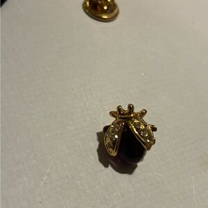 Gold and Black Ladybug Brooch